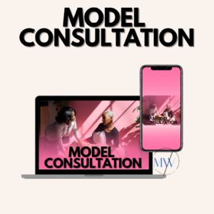 Model Consultation